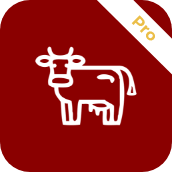 origine-viande-icone-app-min